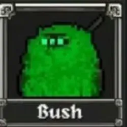 Bush