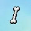 Bone
